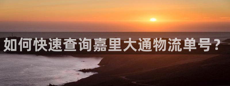28圈官网版2024：如何快速查询嘉