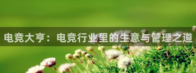 米兰电竞app下载：电竞大亨：电竞行业里的生意与管理之道