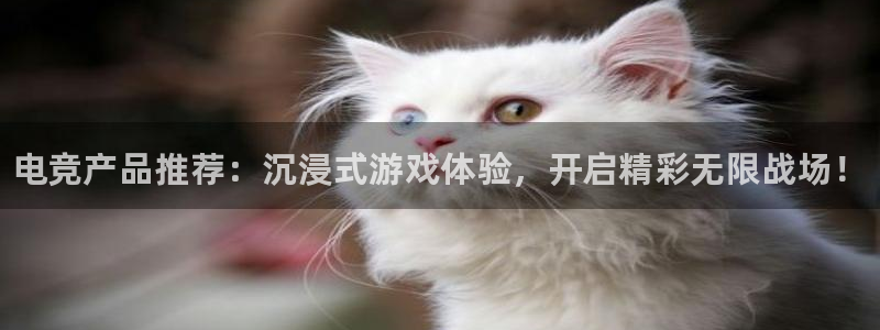 米兰电竞