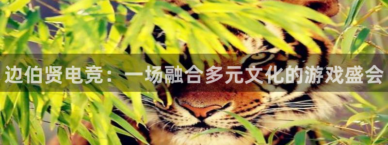 米兰电竞会不会不出款
