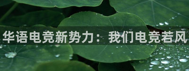 米兰电竞全站