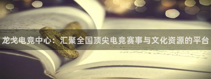 米兰电竞网页版入口
