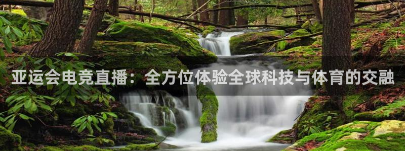 米兰电竞登录入口