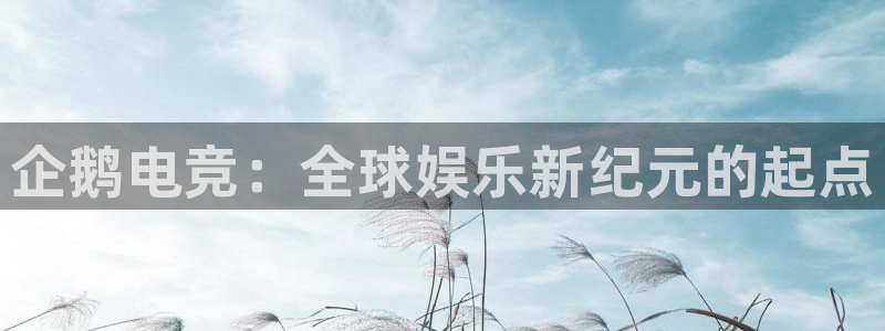 米兰电竞平台官网