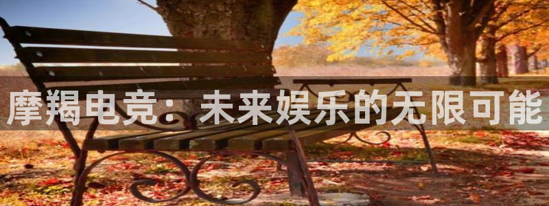 米兰电竞登录入口